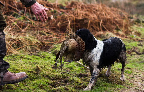 Pheasant Shooting Clothing Guide