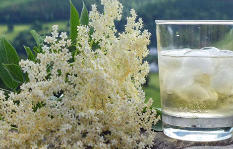 Elderflower Gin