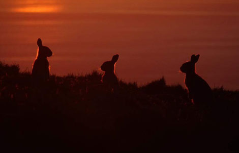 Graeme wins Herald photography competition runner up