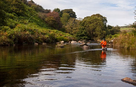 How to Safely Release a Salmon