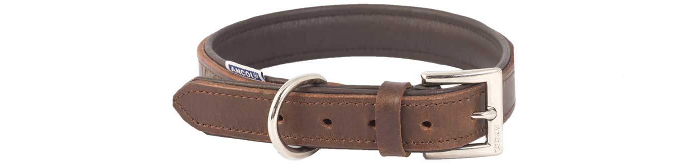 Gun Dog Collars | ArdMoor