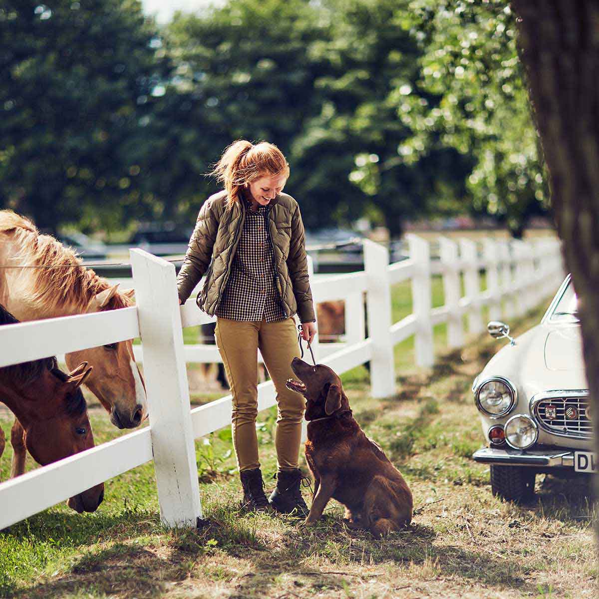 Harkila Norberg Lady Chinos - lifestyle